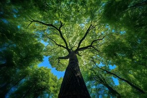 Miscellaneous - ai-test16 (hangzhou)