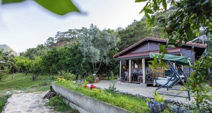 Holiday House Dilek Cirali