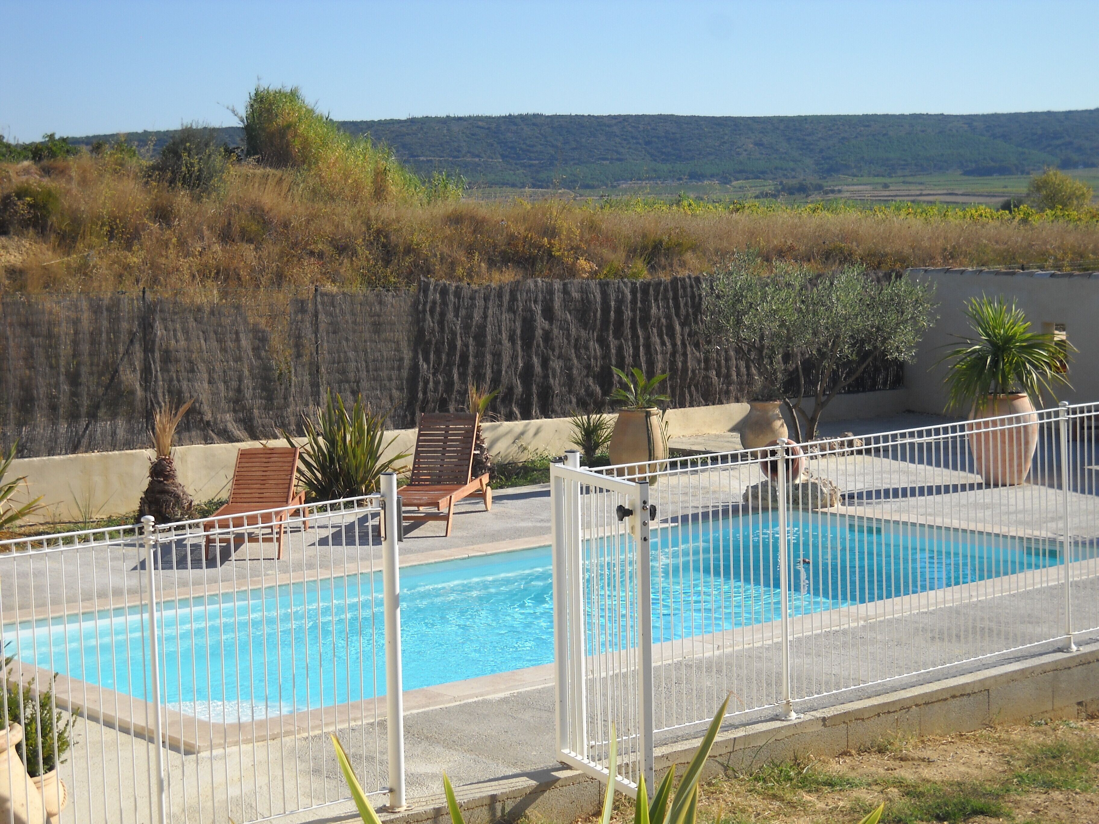 Piscina con valla, sillas de descanso y plantas en macetas.