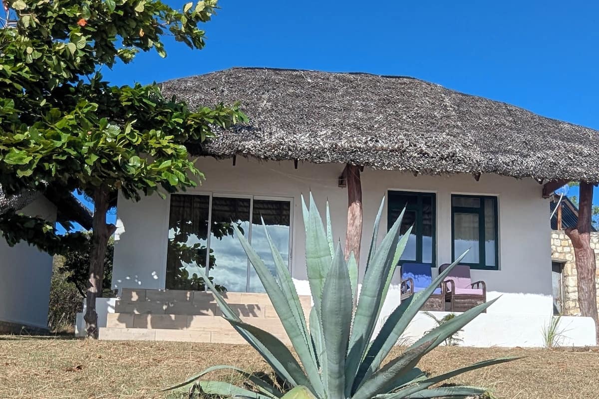 Un edificio con techo de paja, una planta de agave grande en primer plano y un cielo azul despejado.