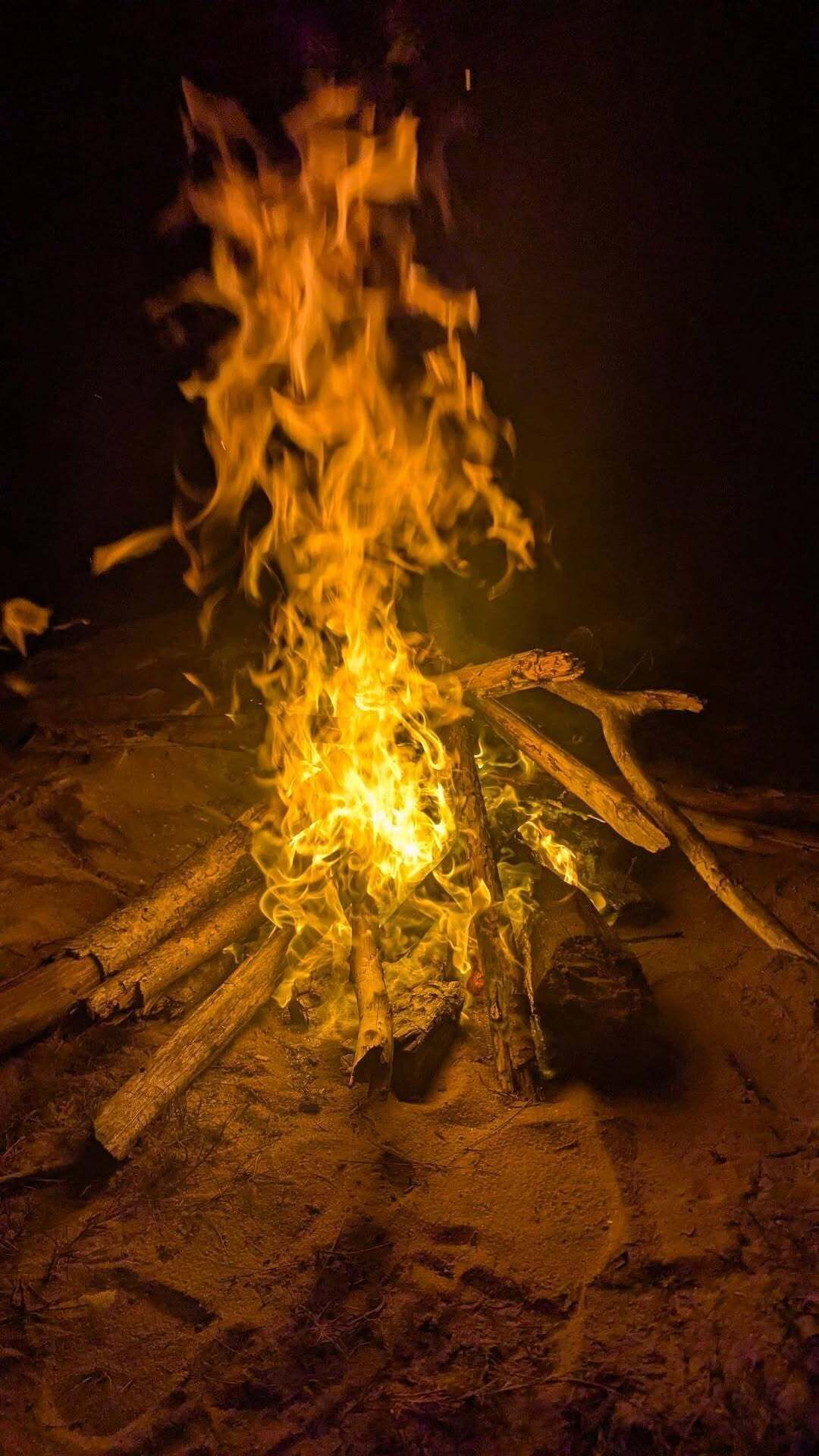 Una fogata con leña y llamas, rodeada de suelo arenoso.