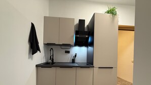 Uma cozinha moderna com pia embutida, exaustor e uma planta em vaso.