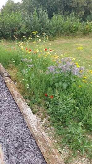 Property grounds - Barn Sleeps 4 With Enclosed Garden (Mold)