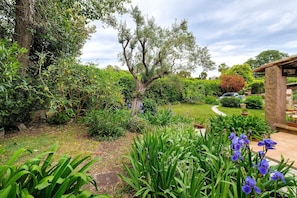 A garden with a large tree, various plants, and a pathway. - Guest Room “Mitsouko” with Shared Pool, Wi-Fi, and Air Conditioning (Antibes)