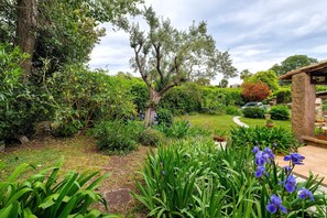 A garden with a large tree, various plants, and a pathway. - Guest Room “Vent Vert” (2 People) with Shared Pool, Wi-Fi & Air Conditioning (Antibes)