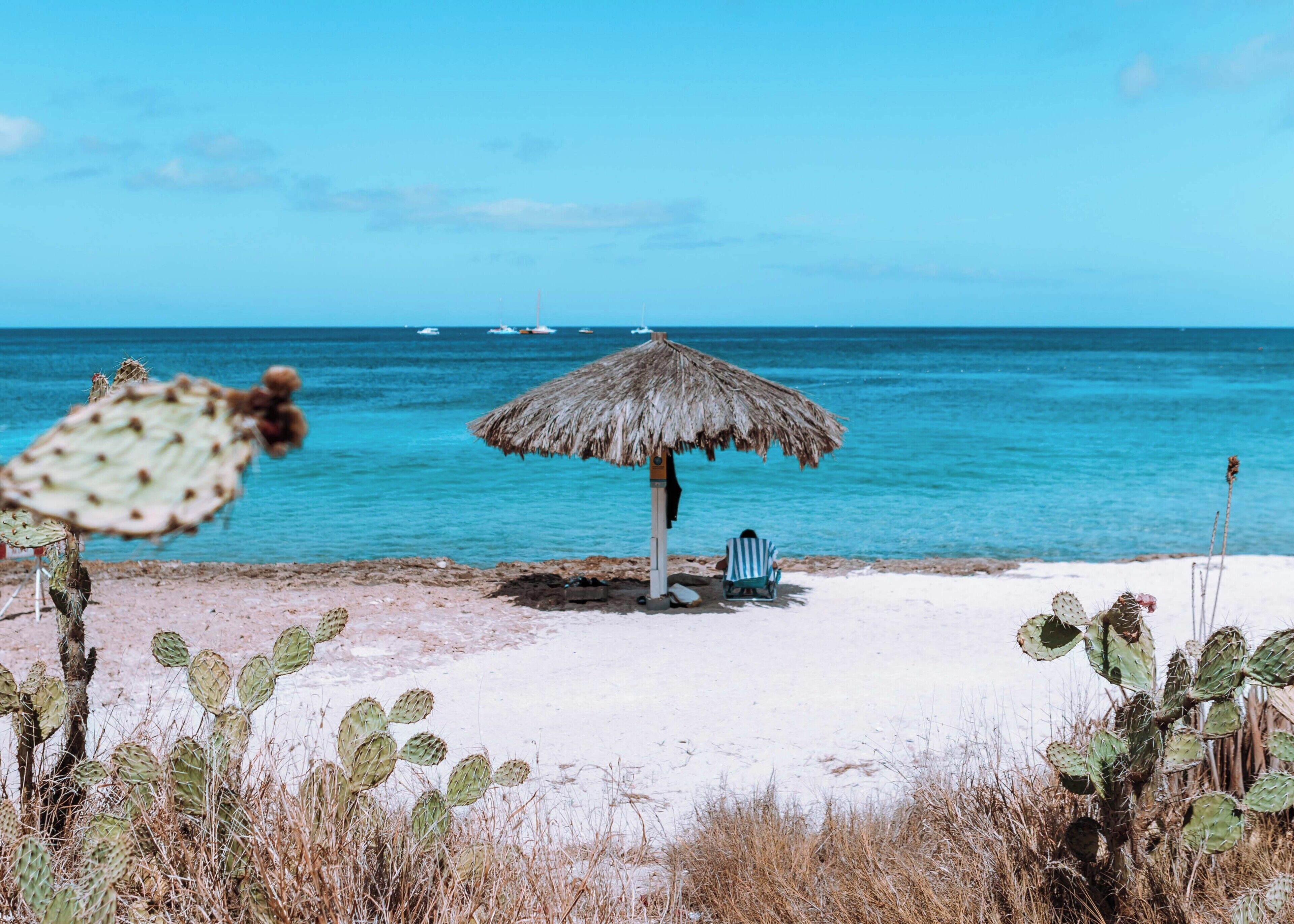 Sun-loungers, beach towels