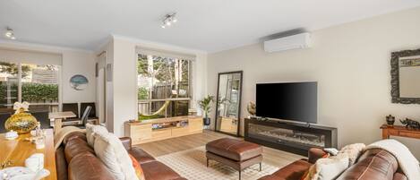 TV, fireplace, books