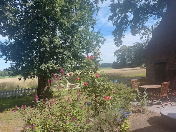 Speisen im Freien