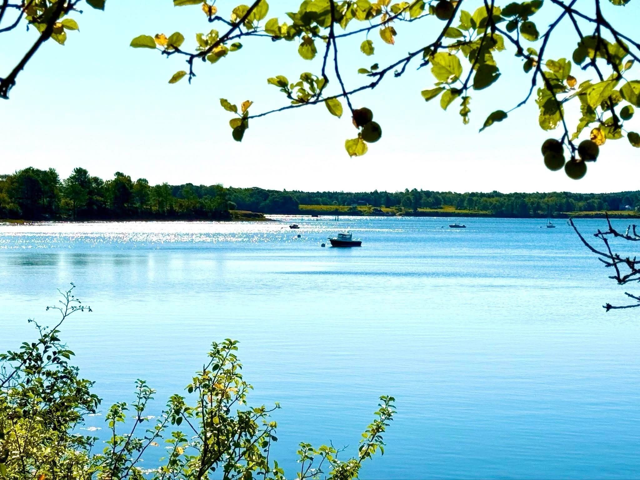 Un lac paisible où flottent des bateaux, entouré d’arbres et sous un ciel dégagé.