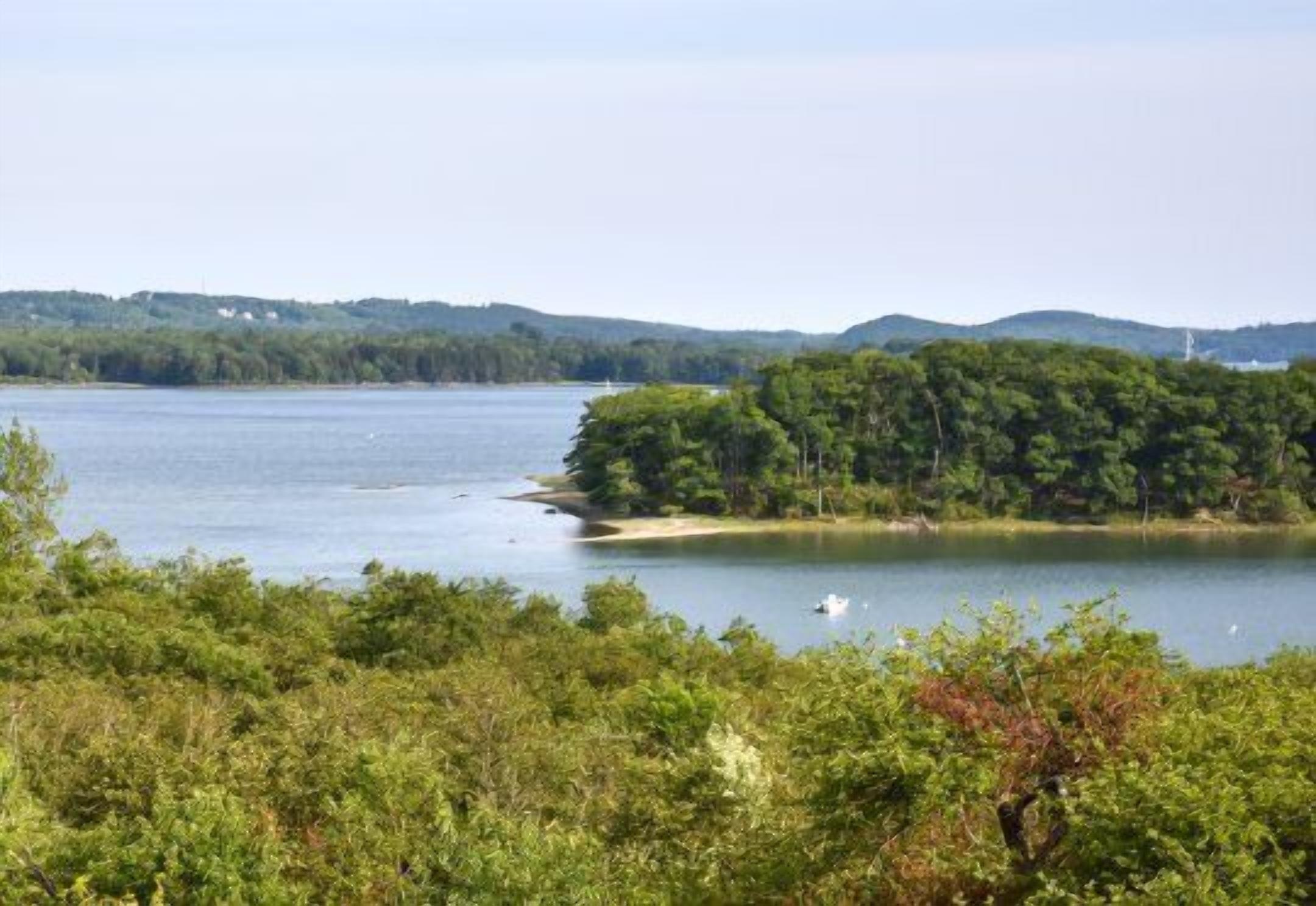 A natural landscape with a body of water, a forested island, and distant hills.