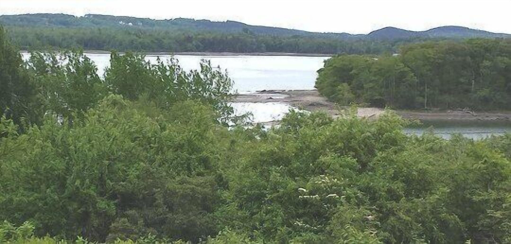 Eine natürliche Landschaft mit einem See, dichtem Grün und sanften Hügeln im Hintergrund.