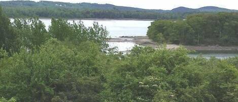Eine natürliche Landschaft mit einem See, dichtem Grün und sanften Hügeln im Hintergrund.