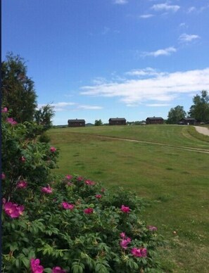 A grassy field with a few buildings in the distance and a clear sky. - Family-Friendly Castine Escape | Games, Kayaks & Views (Castine)