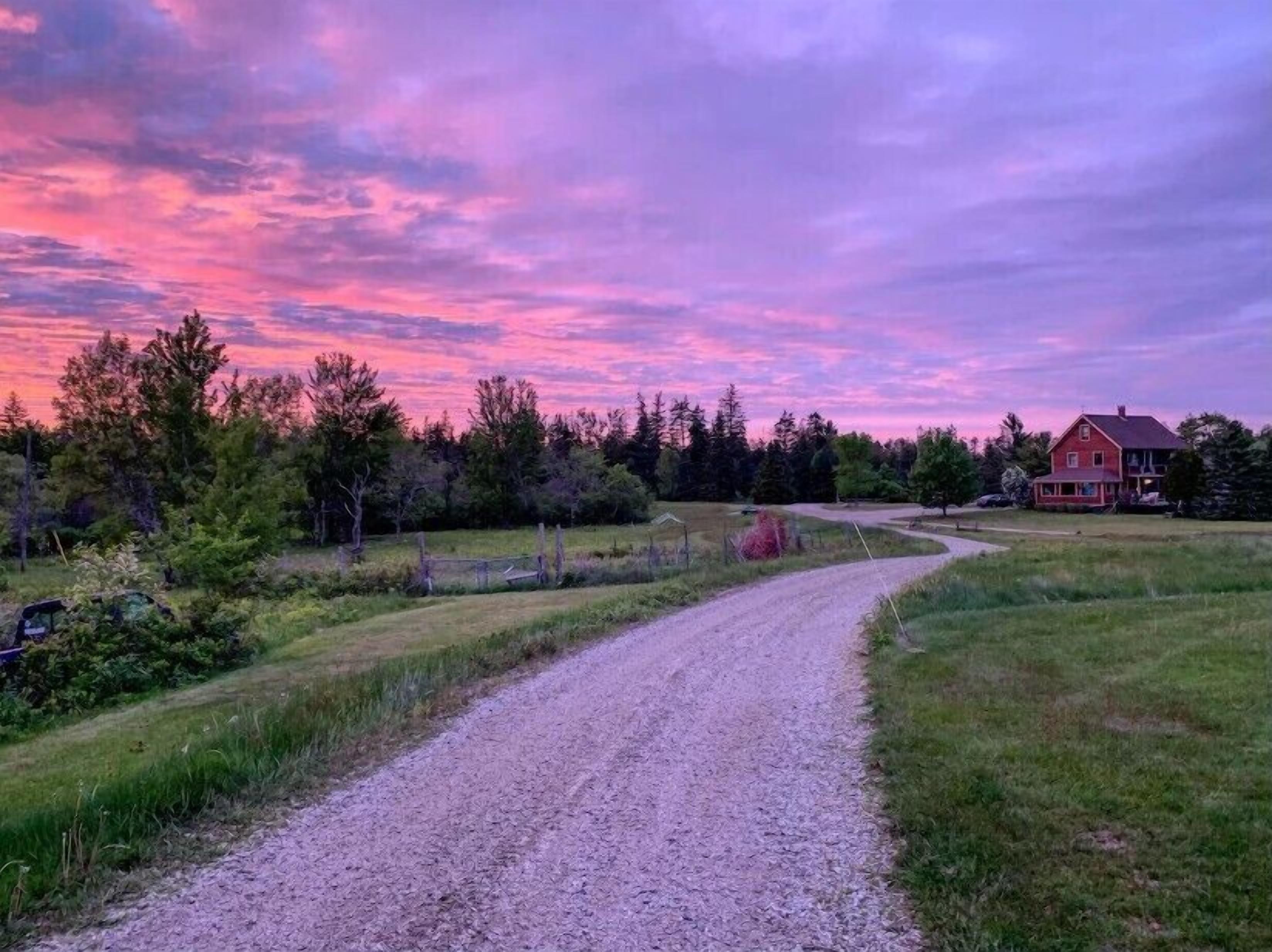 A gravel road leading to a red house surrounded by trees and open fields.