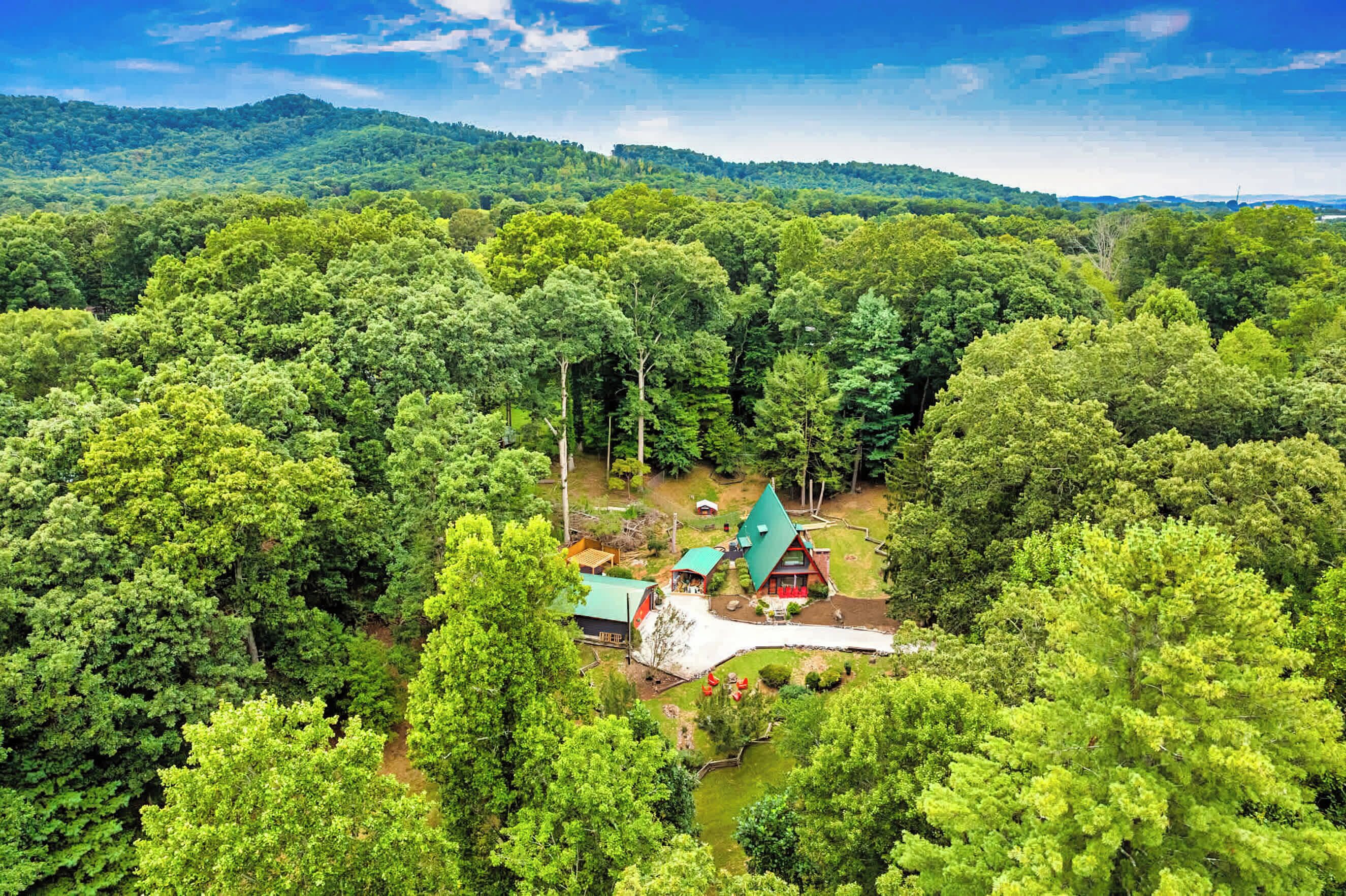 Uma área arborizada com uma cabana com telhado verde e um pequeno alpendre.