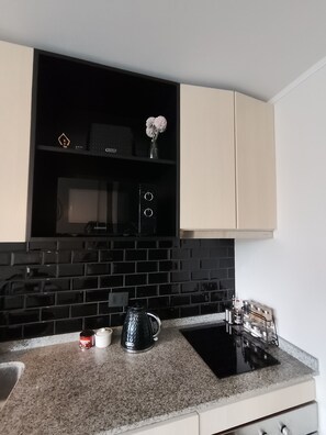 Private kitchen - Cozy 1-bedroom apartment with AC in excellent Santiago location (Santiago)