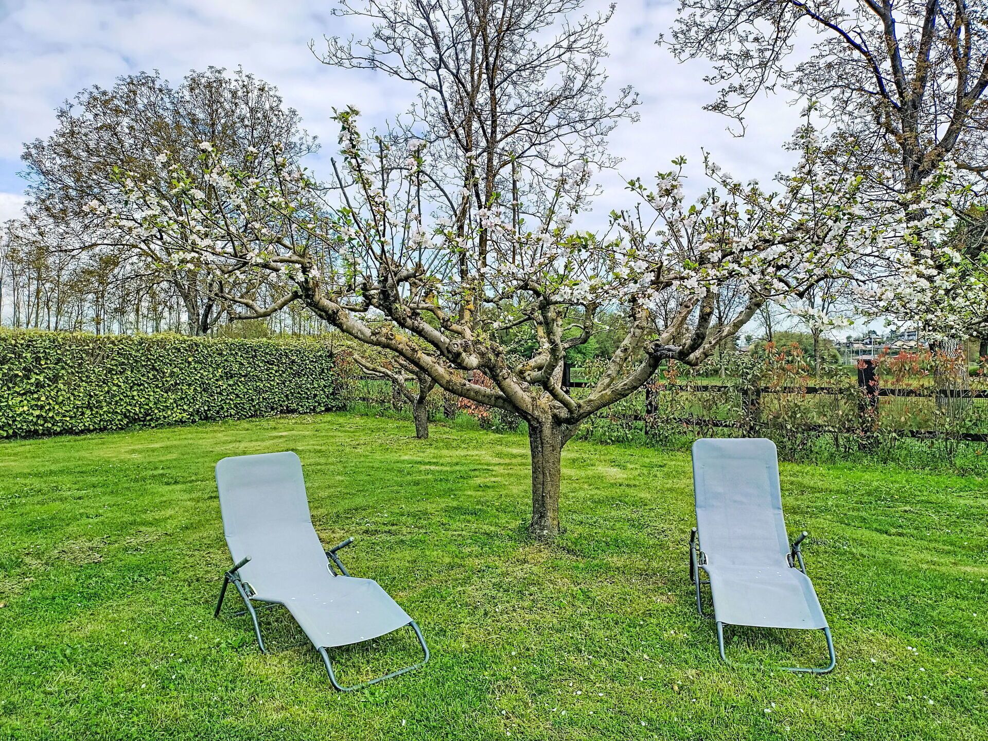 Parco della struttura