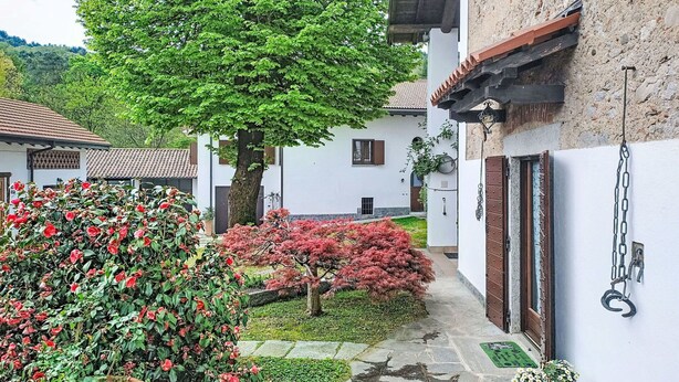 Un patio con un árbol, un parterre floral y un edificio con un camino de piedra.