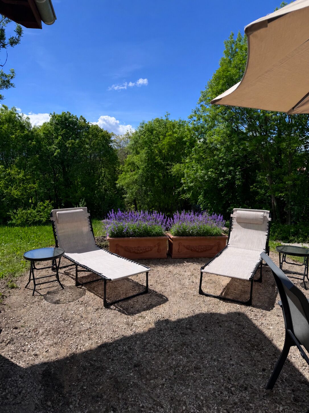 An outdoor seating area with two lounge chairs and a small table, surrounded by gravel and potted plants with purple flowers.