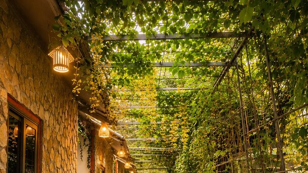 A stone building with a covered walkway lined with plants and hanging lights. - Hang Mua Peaceful Retreat (Hoa Lu)