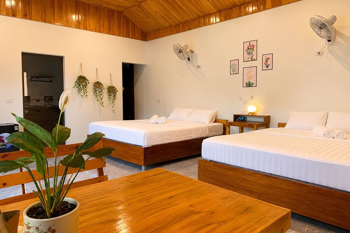 A hotel room with two beds, wooden furniture, a potted plant, wall-mounted fans, and framed pictures.