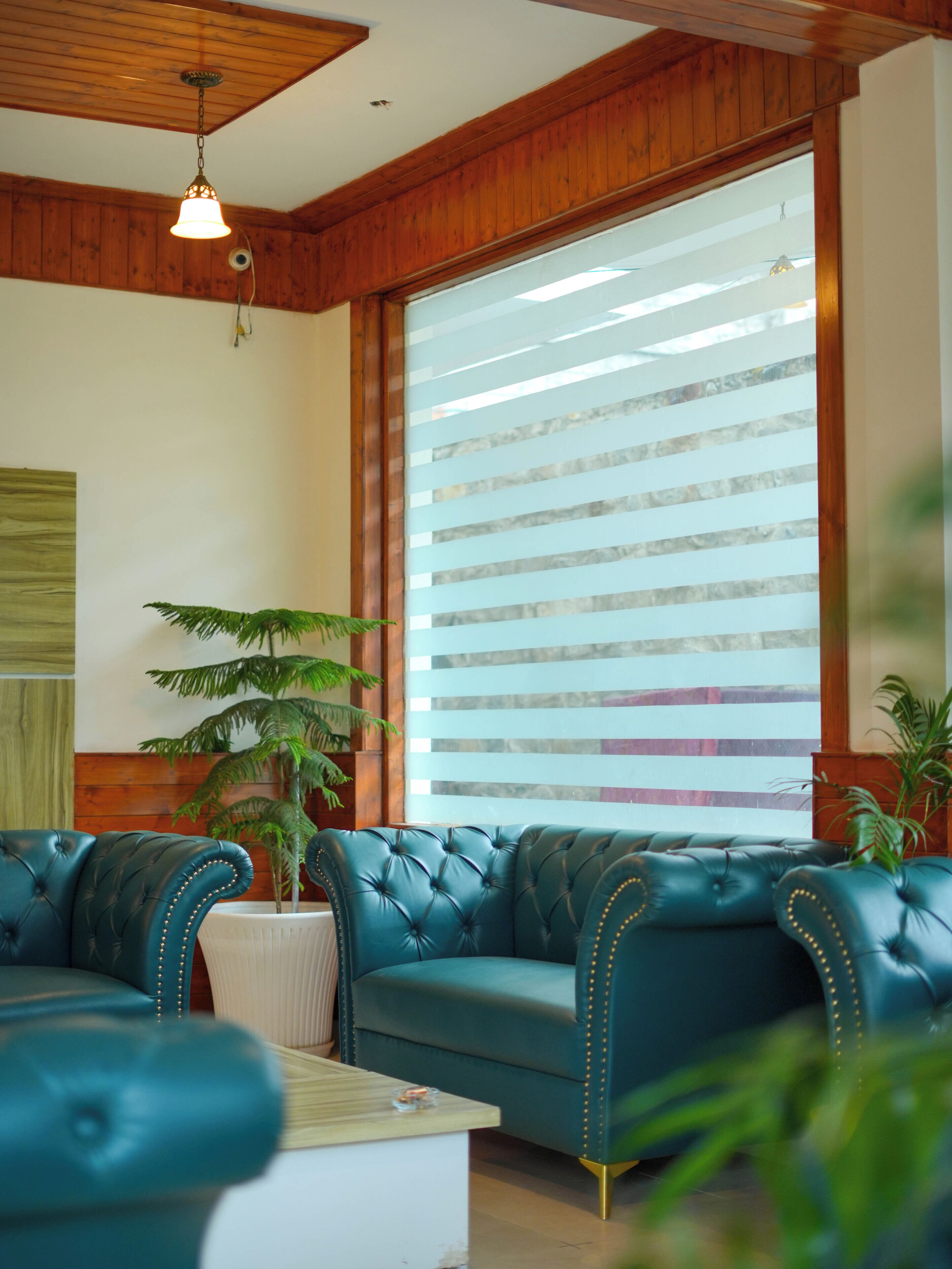 Una habitación con un ventanal grande, persianas horizontales, un sofá tapizado en verde, una planta en maceta y una lámpara colgante.