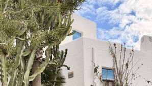 Ein Kaktus, eine Steinmauer, eine Katze und ein Gebäude mit einem blauen Fenster.