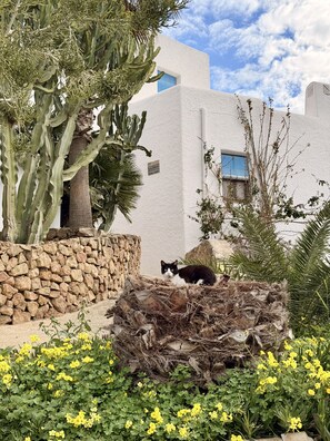 Jardines del alojamiento