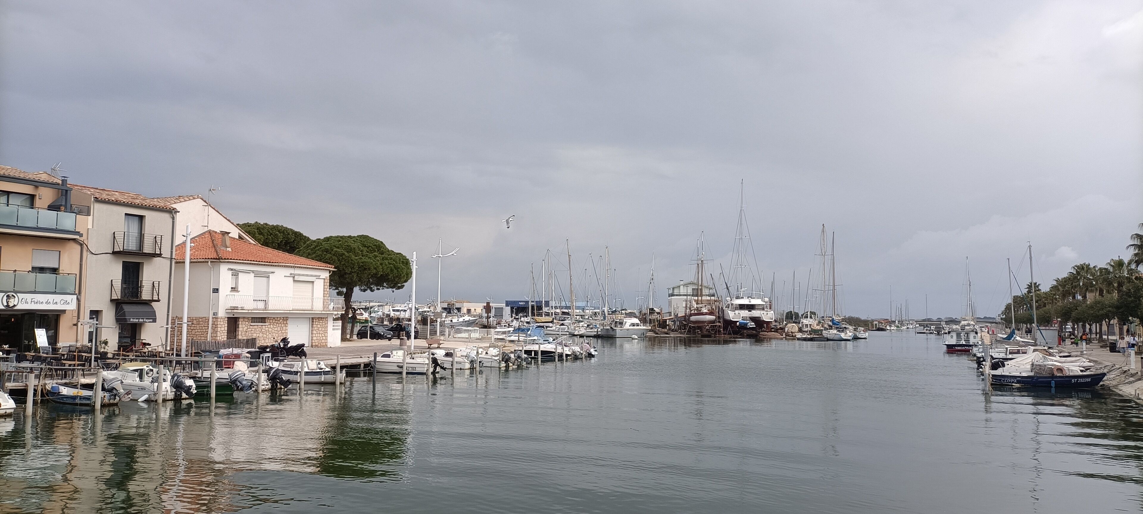 Marina