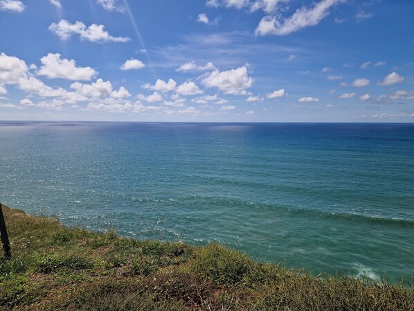 Küstliche Aussicht mit blauem Himmel, Ozean und grasbewachsenem Gelände.