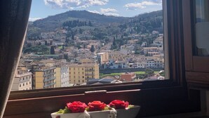 A window with a view of a cityscape, a white bowl with red flowers, and a curtain partially covering the window. - B&B L Orologio (Signa)