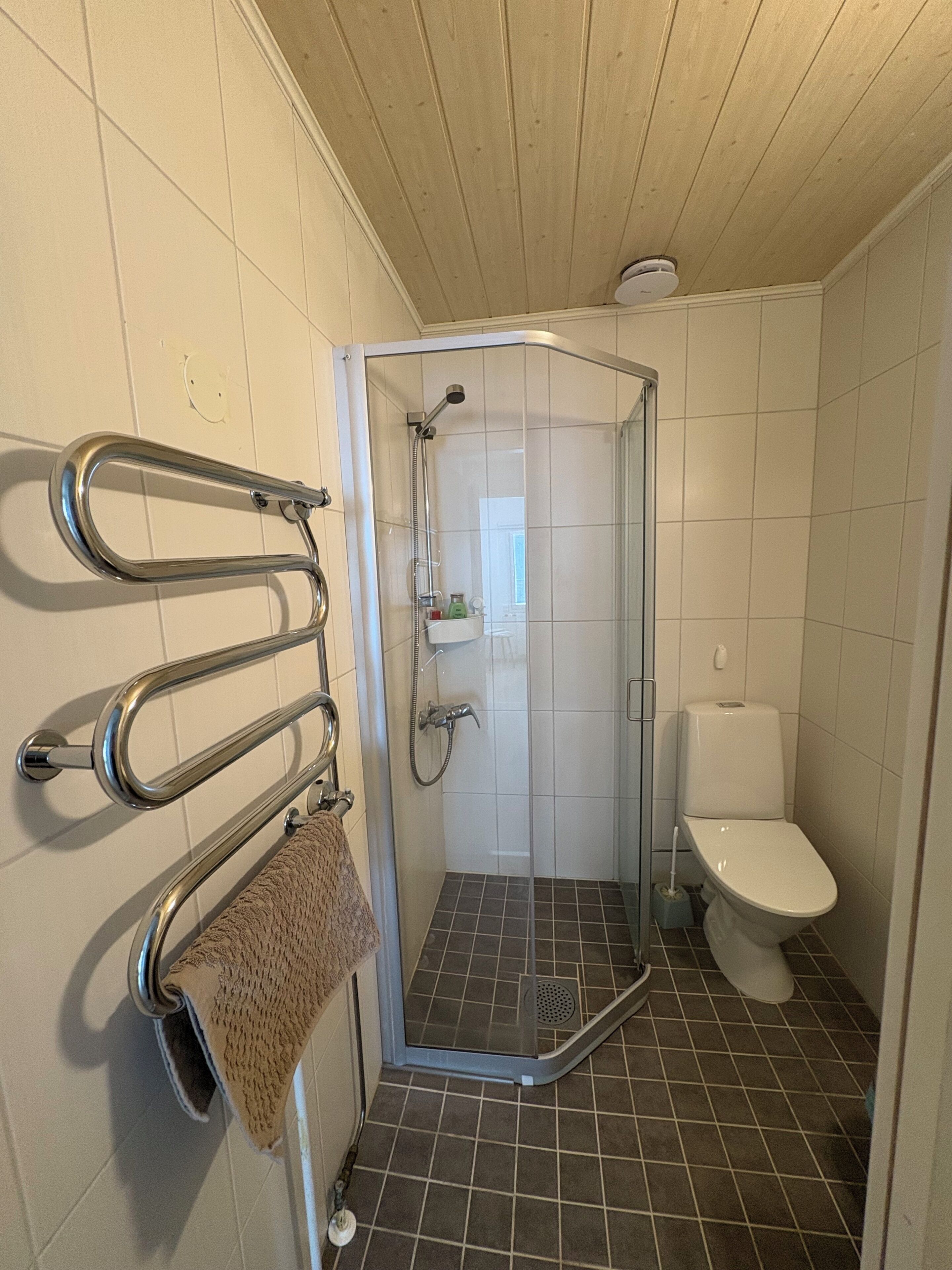 Dusche mit Glastür, Toilette und Handtuchhalter mit Handtuch.