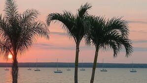 Una playa con palmeras y veleros a lo lejos.