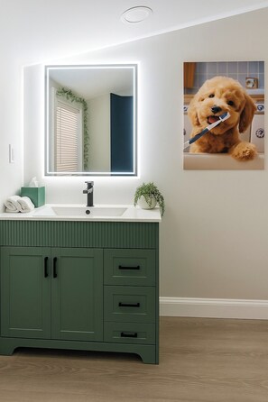 Interior - beautiful Cozy 1BR Apt near New Haven (Seymour)