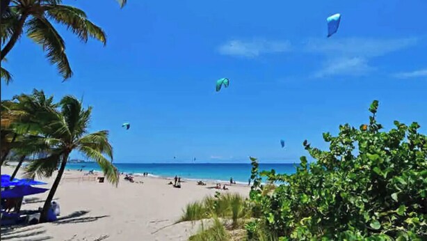 Une plage bordée de palmiers, sous un ciel dégagé.