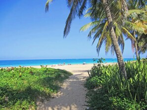 Strand