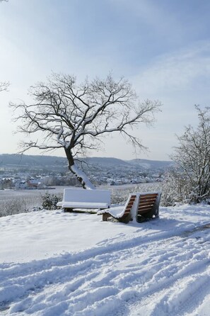 Àrea exterior de l'allotjament