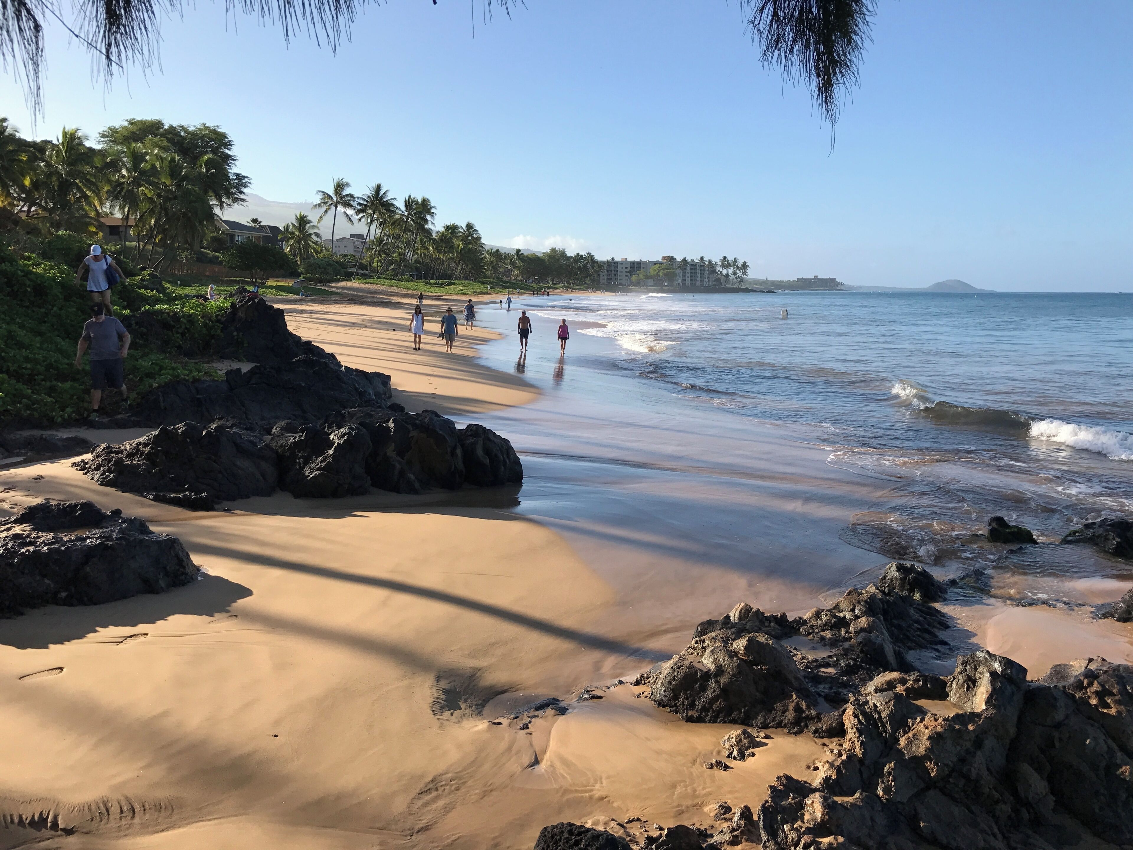 Playa