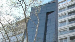 Un edificio moderno con fachada de vidrio, varios balcones y un árbol en primer plano.