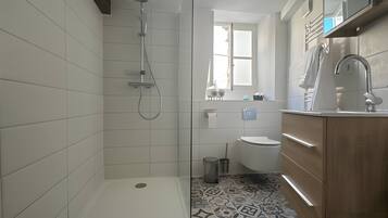 Shower, hair dryer, towels