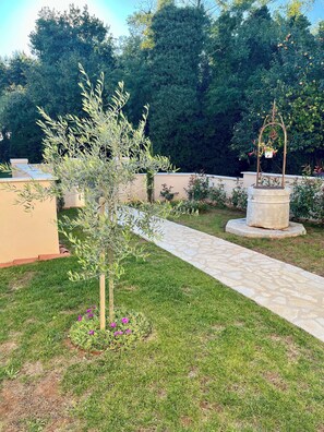 Property grounds - Casa Elira - Istrian stone house with pool for family and friends (Cerjani)