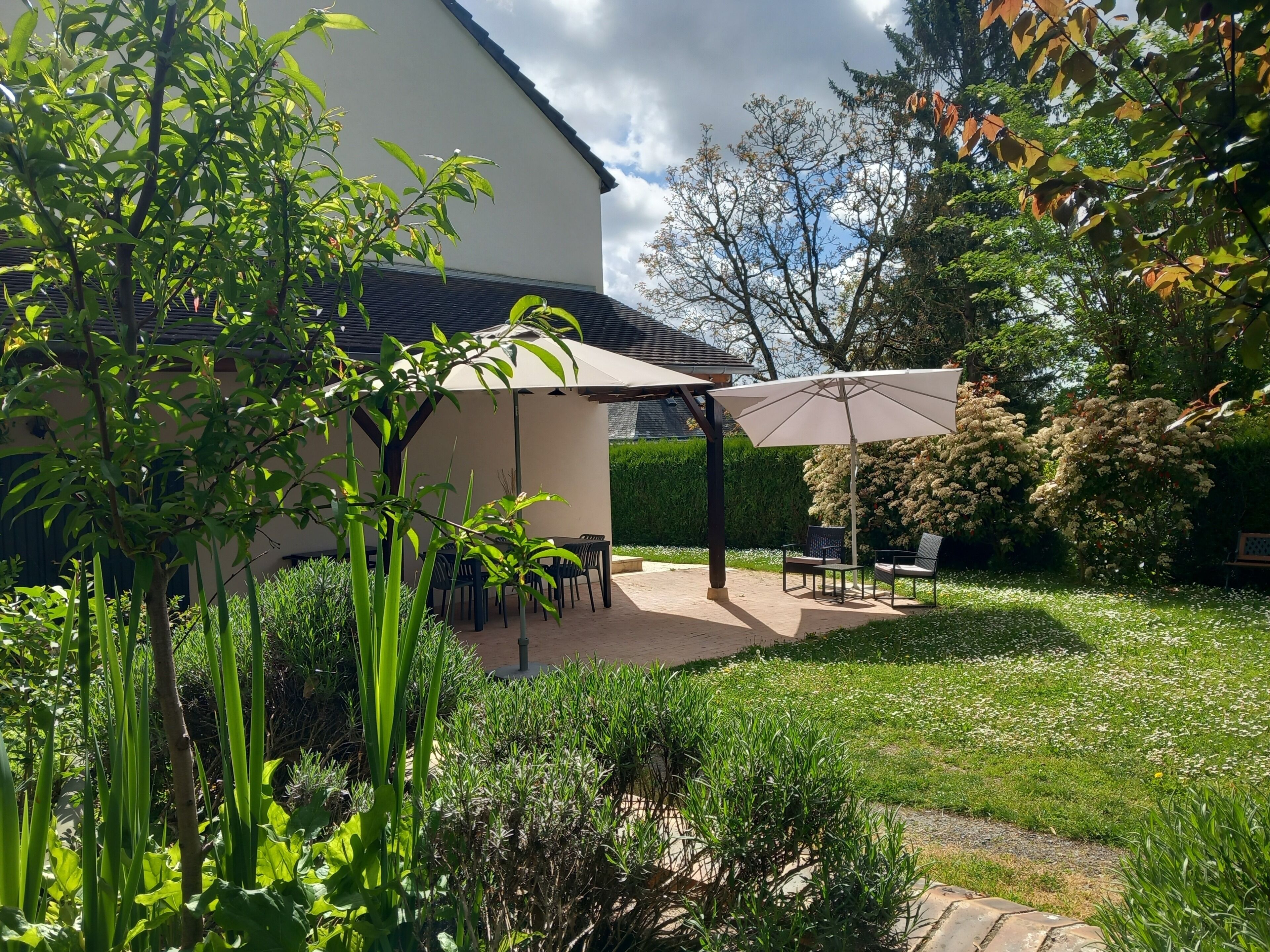 Terras