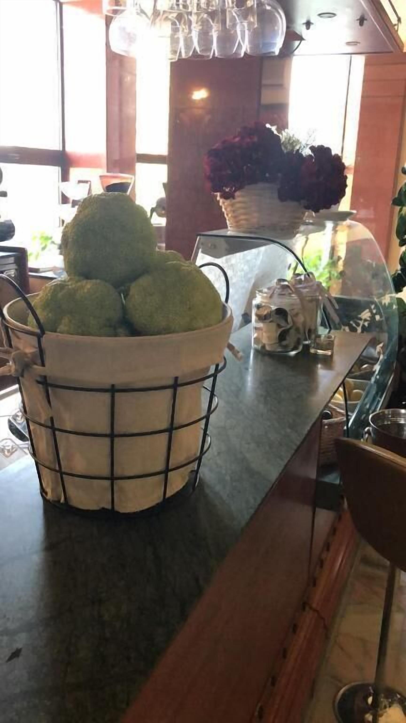 A kitchen counter with a wire basket containing green apples, a glass container with a plant, and a metal sink.