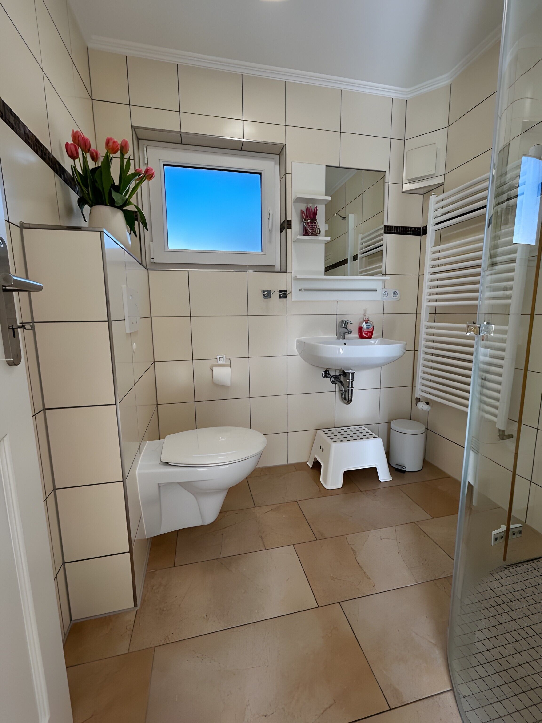 Shower, hair dryer, towels