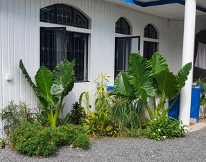 庭園