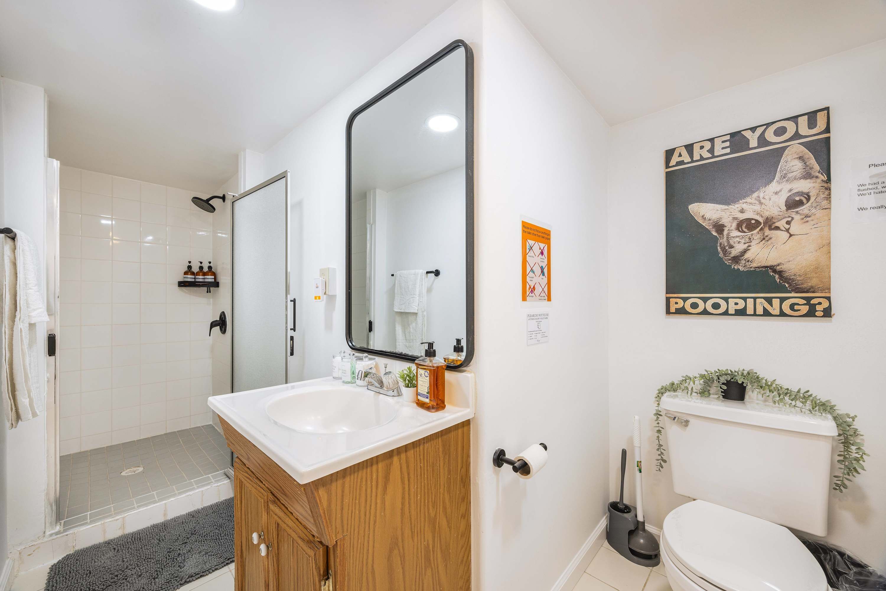 Douche, sèche-cheveux, serviettes fournies, shampoing