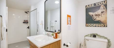 Douche, sĂšche-cheveux, serviettes fournies, shampoing