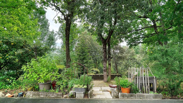 A garden with potted plants, a wooden fence, and a pathway leading to a small structure. - Independent House 5 Minutes from the Beaches (Les Mathes)