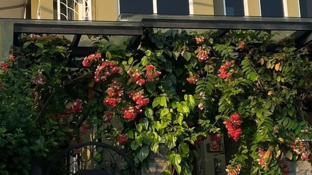 Uklassifisert bilde, 1 av 20, knapp