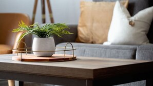 A potted fern on a wooden coaster on a table, with a grey sofa and cushions in the background. - 8 mi Lackland AFB BMT HotTub Game Room Bocce Ball (San Antonio)